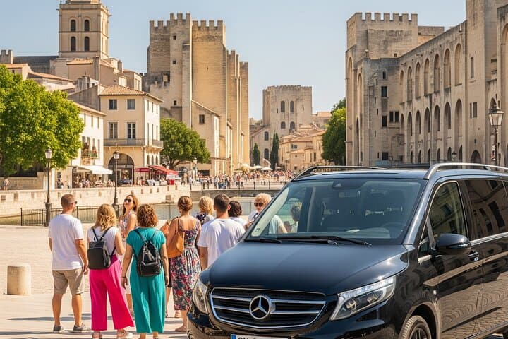 Private tour in Avignon and Pont du Gard