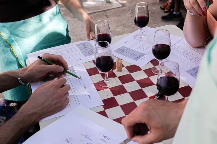 Learn to drink like a sommelier