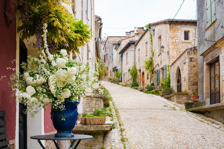 The Essence of Provence and Explore at Your Pace