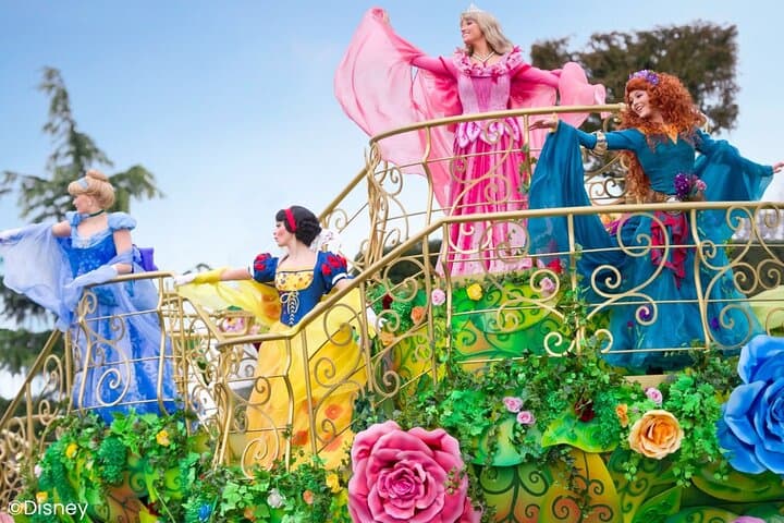 Private Disneyland Return Transfer Up to 6 People