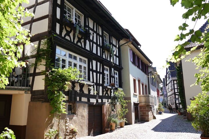 From Strasbourg: Black Forest Day Trip