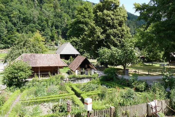 From Strasbourg: Black Forest Day Trip