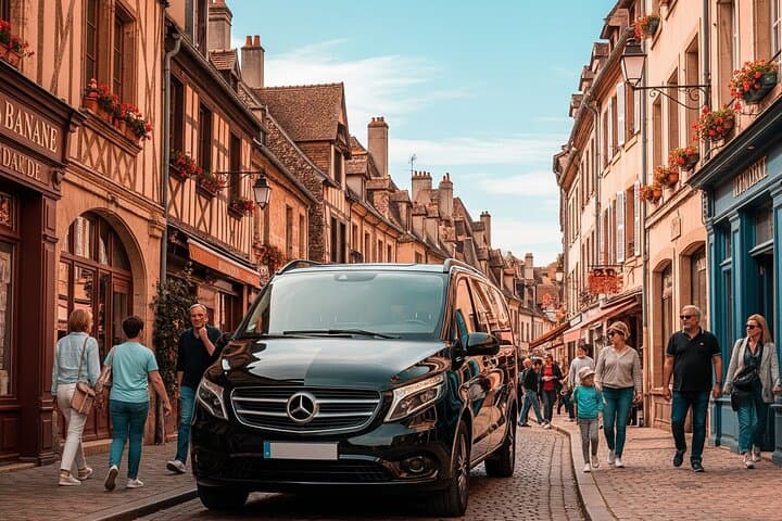 Private Tour in Beaune with Official Tour Guide