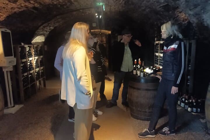 Private Tour in Beaune with Official Tour Guide