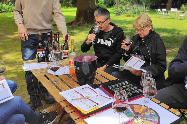 Tasting with the winemaker, accompanied by a box of aromas for an enriched sensory experience