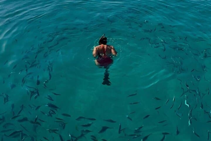 Snorkeling with fish in the ckea waters of the Lerins