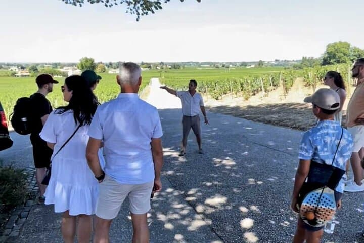 Wine tour Saint Emilion, sound and light show