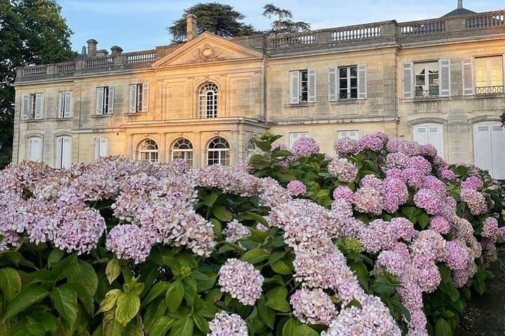 Bordeaux: Wine Tour and Tasting