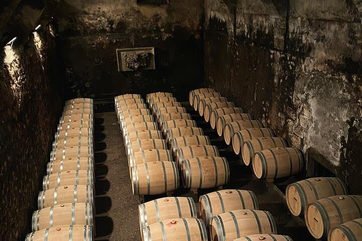 Bordeaux: Wine Tour and Tasting