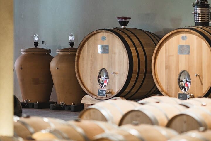Day trip: Tour in Bordeaux and Trip to Medoc or Saint-Emilion