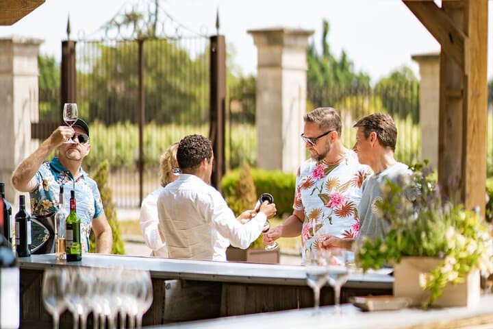 Day trip: Tour in Bordeaux and Trip to Medoc or Saint-Emilion