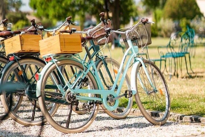 Day trip: Tour in Bordeaux and Trip to Medoc or Saint-Emilion