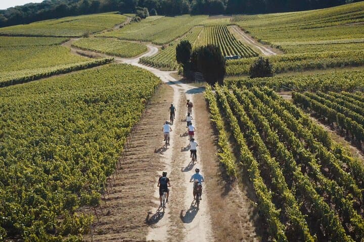 Reims: Half-day cycling in Champagne with tastings