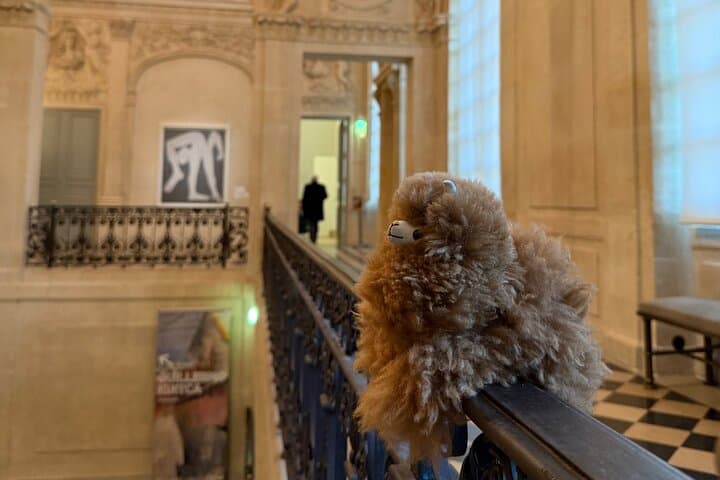 Guided Visit to the Museum of Picasso