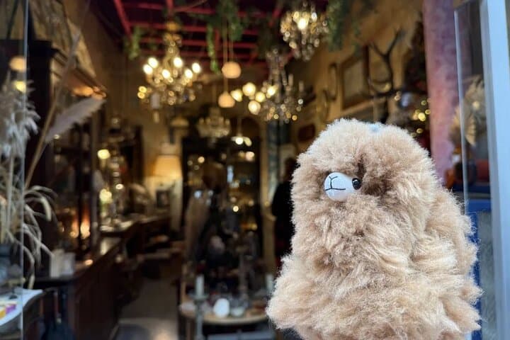 Saint Ouen Marche aux Puces Flea Market Private Walking Tour