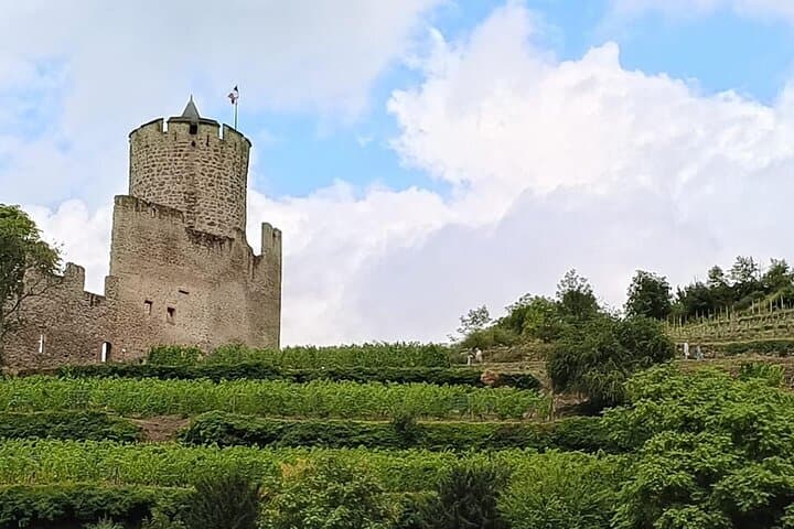 Castle of Kaysersberg