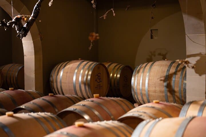 wine tour by van from saint tropez
