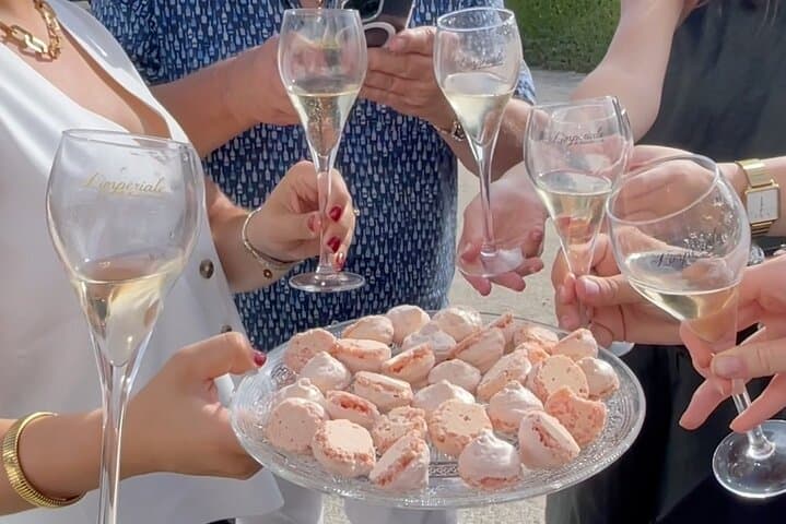 Private Tour of Epernay and Vineyards by Bus with Champagne