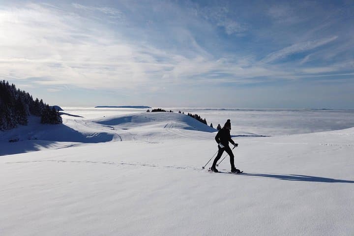 Snowshoeing trip near Annecy