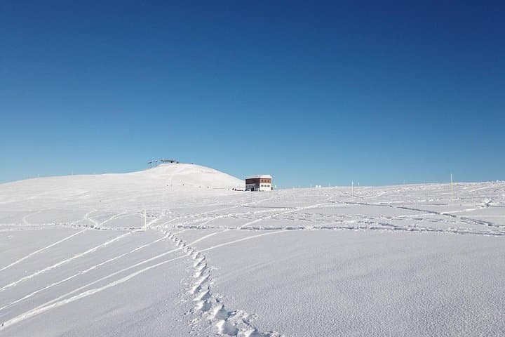 Snowshoeing trip near Annecy