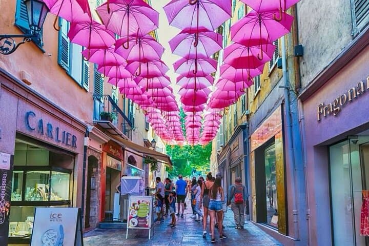 Cannes: Western French Riviera Semi-Private or Private Day Tour