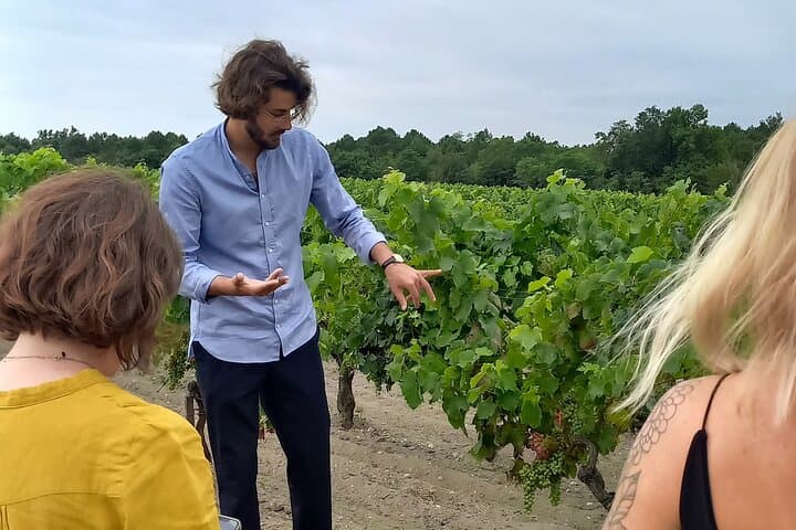 Médoc Wine Tour Vert Bordeaux