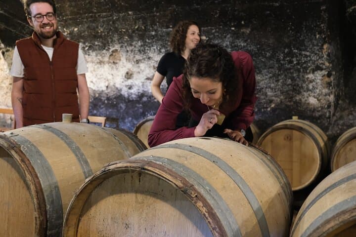 Visit of the cellar with wine experts