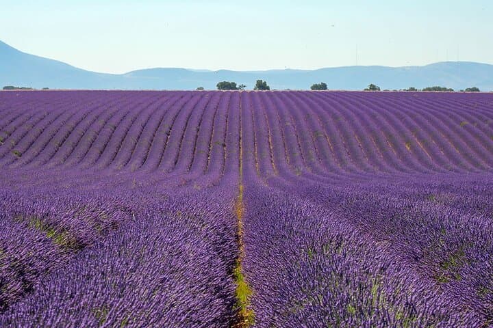 Verdon canyon, lavender of Valensole & Moustiers-Sainte-Marie