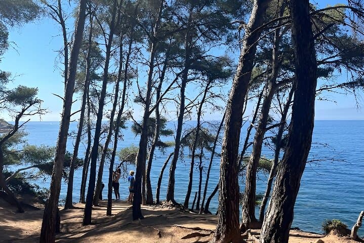Toulon Hidden Coastline Guided Hike Views and Swim Stop