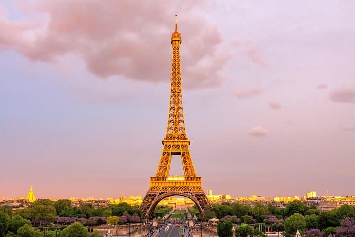 Paris Private Transfer: One-Way City Ride