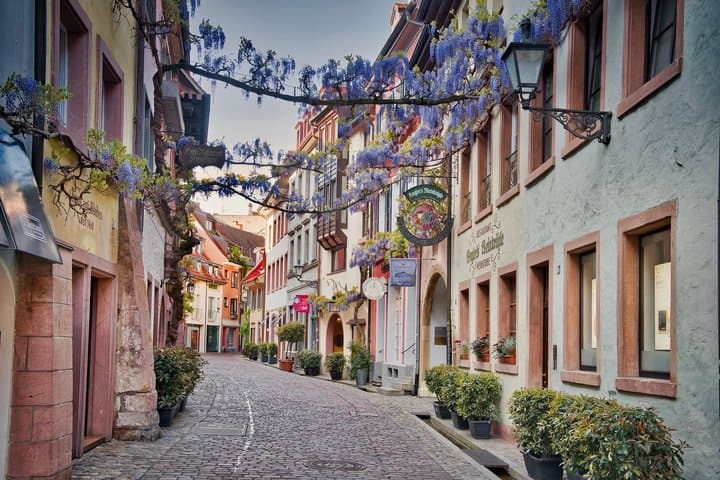 From Strasbourg Visit to the Black Forest in Triberg Titisee Freiburg