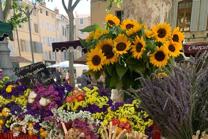 An Authentic and Warm Visit to Aix en Provence