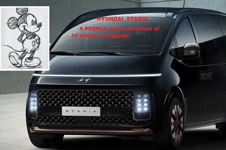 Private transfer EN VAN - DE Paris CDG Airport to Disneyland