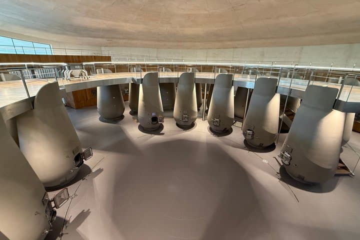 Wine Tourism high tech and Innovation in Bordeaux