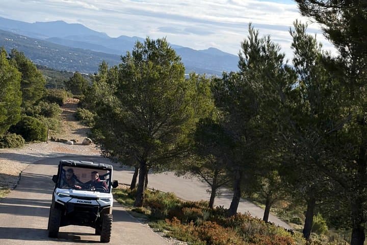 Cassis Domaine forest des janots and route des ridges en Buggy