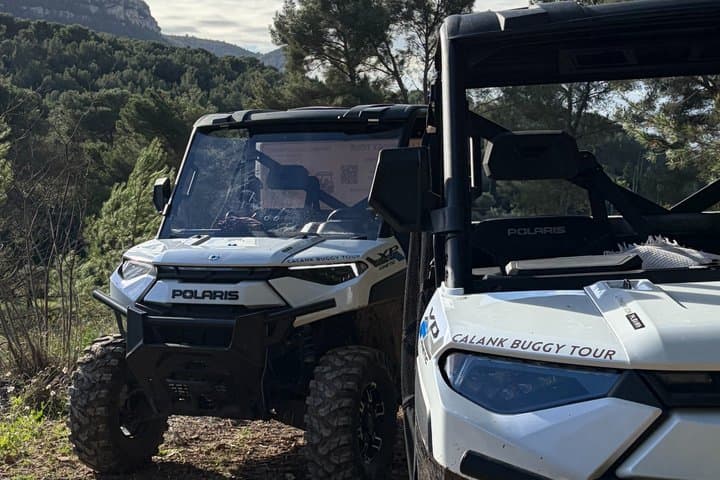 Cassis Domaine forest des janots and route des ridges en Buggy