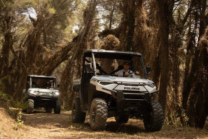Cassis Domaine forest des janots and route des ridges en Buggy