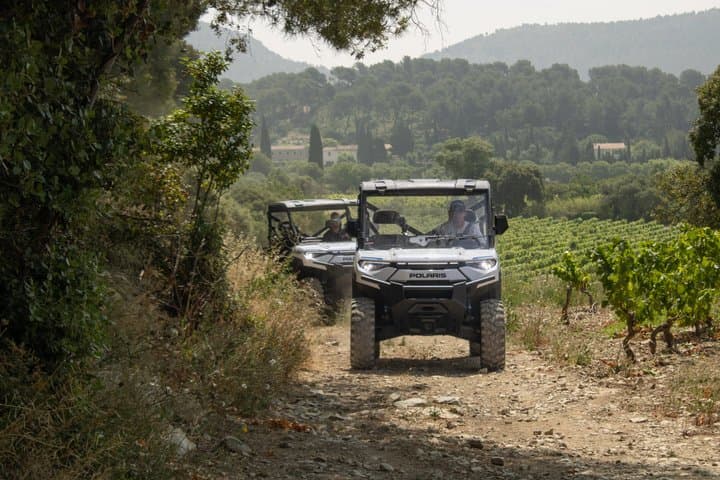Cassis Domaine forest des janots and route des ridges en Buggy