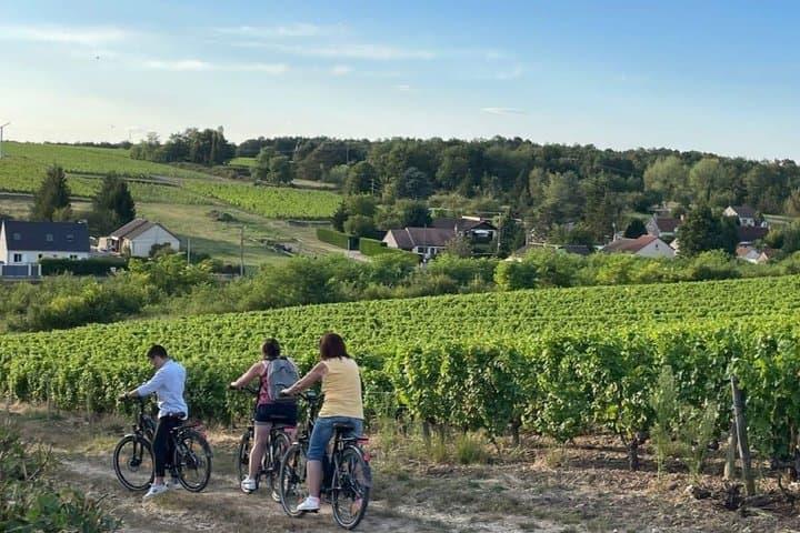 Loire Valley Ultimate E-bike Tour: Amboise, Chenonceau & Wine
