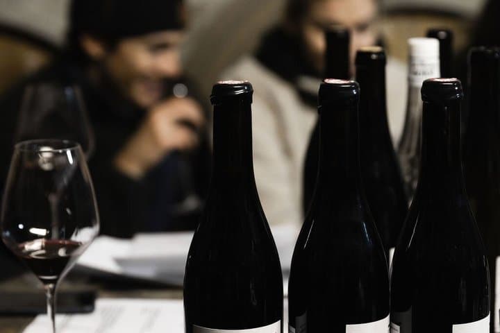 Discover the Beaujolais wines | Guided tour