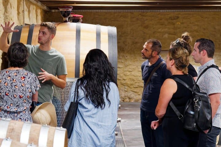 Marseille Highlights & Wine Tasting Day Tour from Marseille