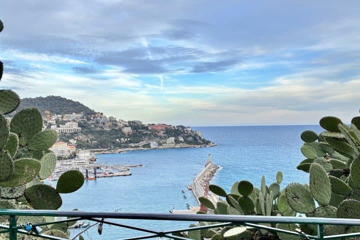 Nice: Historic town, Flower Market & Panoramic Views Walking Tour