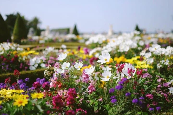 Private Tour of Versailles and Giverny Palace and Monets Gardens