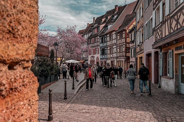Colmar Guided Walking Tour of Historic Districts