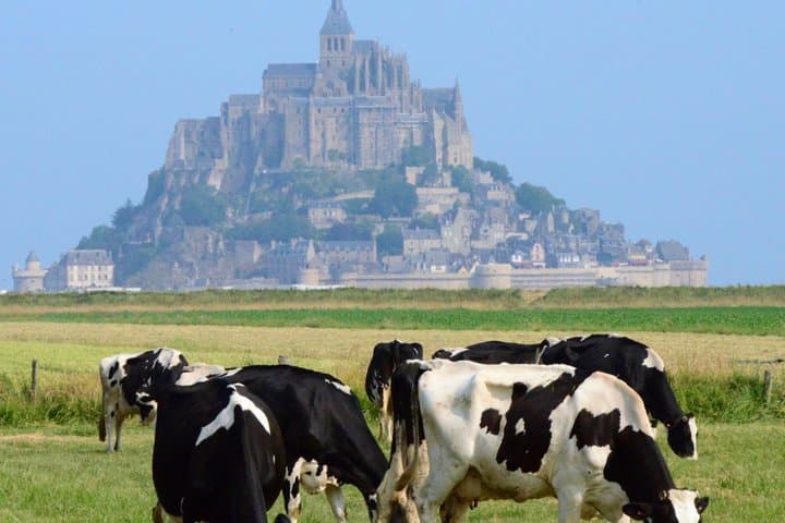 Mont Saint Michel from Deauville | Private Tour I Guide optional