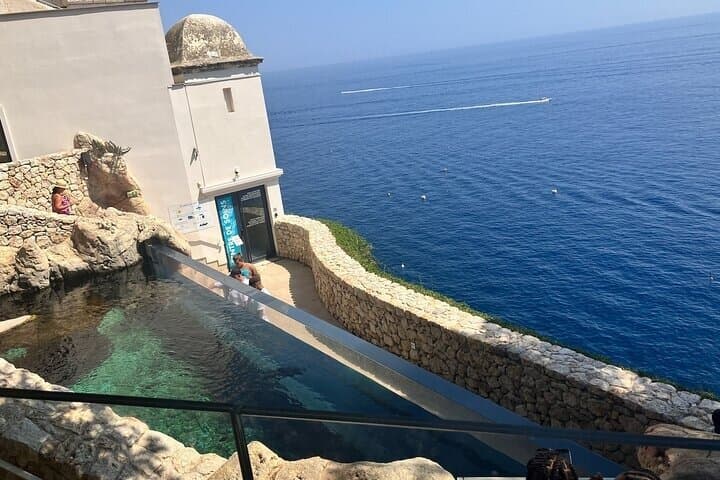Monaco Heritage private tour and Outlet Shopping Experience
