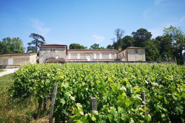 Saint Emilion and Margaux Wine Tour from Bordeaux