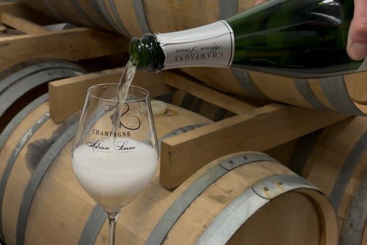 Visit of a family estate of Champagne near Reims