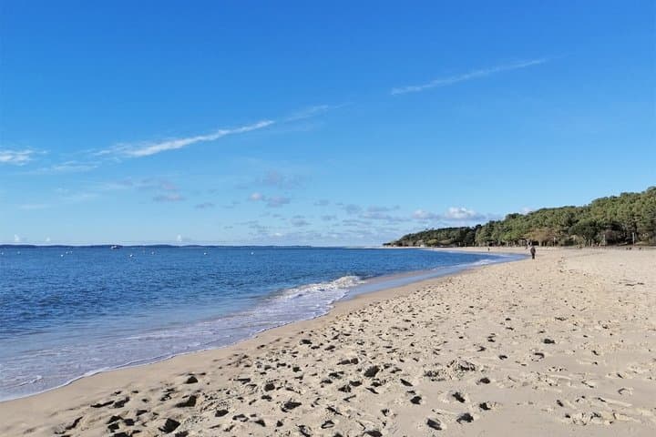 Private transfer Bordeaux to Arcachon with professional driver