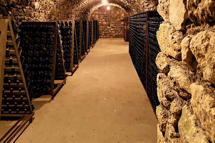 Champagne Day Trip from Reims including 9 Champagne Tastings